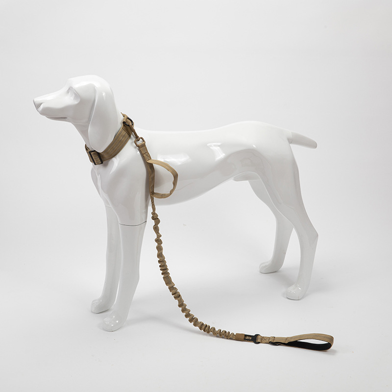 Dual handle dog leash1-5