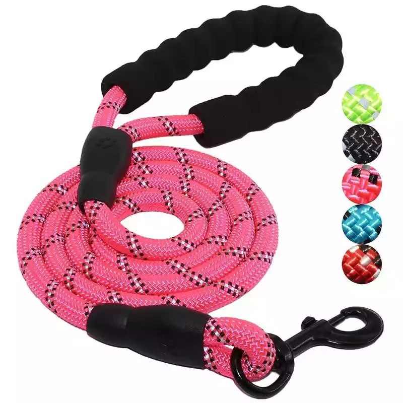 multicolor rope dog leash